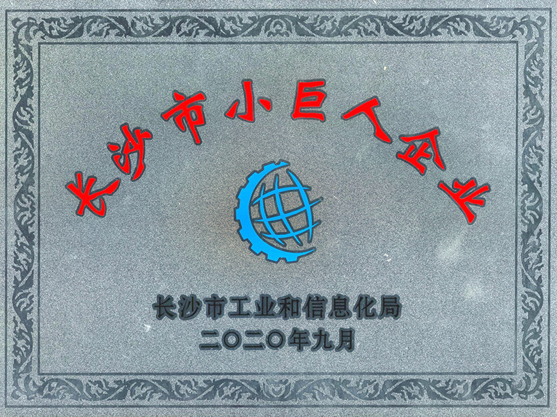 長沙市小巨人企業(yè)